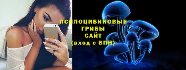 мескалин Алексин
