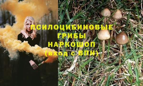 дживик Покровск