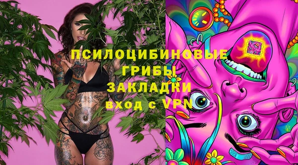 мескалин Алексин