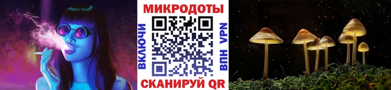 купить наркотики сайты  Омутнинск  Галлюциногенные грибы Psilocybine cubensis 